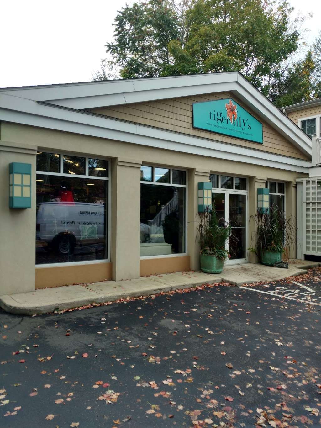 Tiger Lilys | 154 Prospect St, Greenwich, CT 06830 | Phone: (203) 629-6510