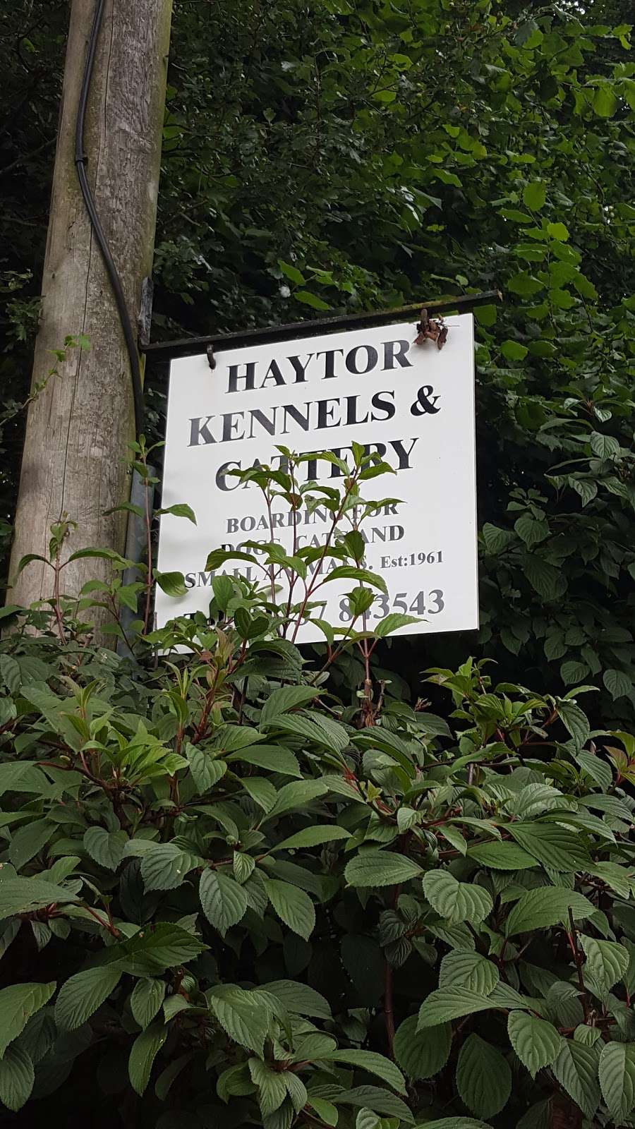 Haytor Kennels | Old Reigate Road, Old Reigate Rd, Brockham, Dorking RH4 1NX, UK | Phone: 01737 843543