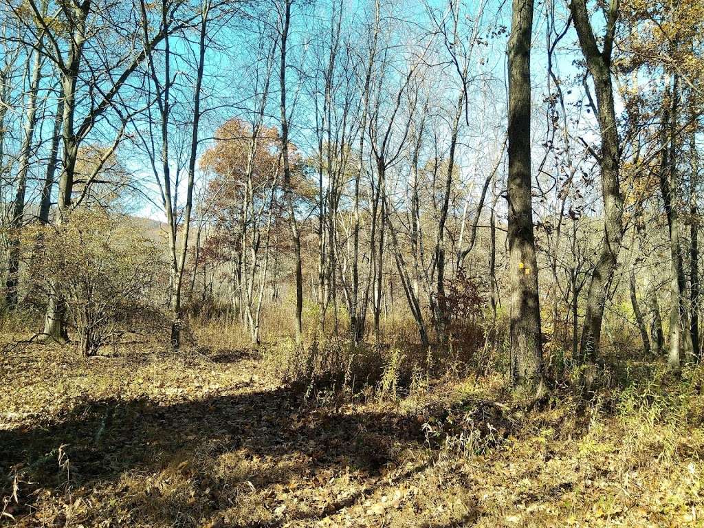 Sasso Tract / Beaver Brook | Boonton, NJ 07005, USA