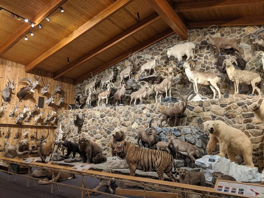 International Wildlife Museum | 4800 West Gates Pass, Boulevard, Tucson, AZ 85745, USA | Phone: (520) 629-0100