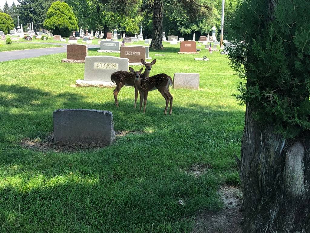 Wesley Chapel Cemetery | 3225 Dublin Rd, Hilliard, OH 43026, USA | Phone: (614) 876-2236