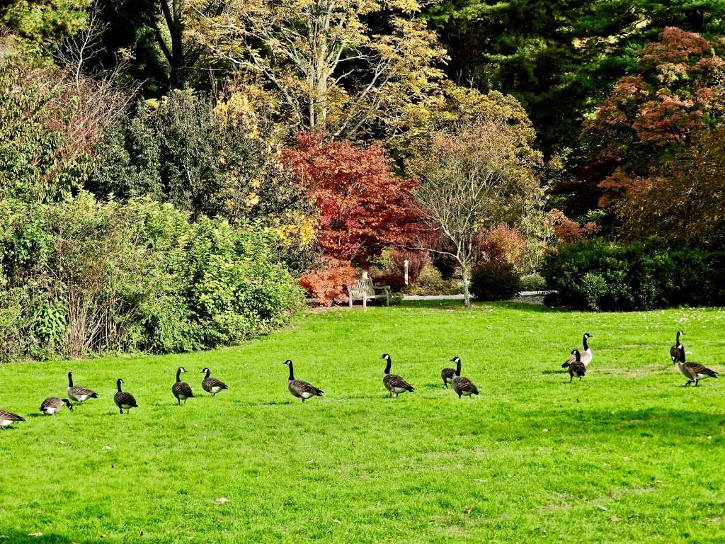 Planting Fields Arboretum | 1395 Planting Fields Rd, Oyster Bay, NY 11771, USA | Phone: (516) 922-9210