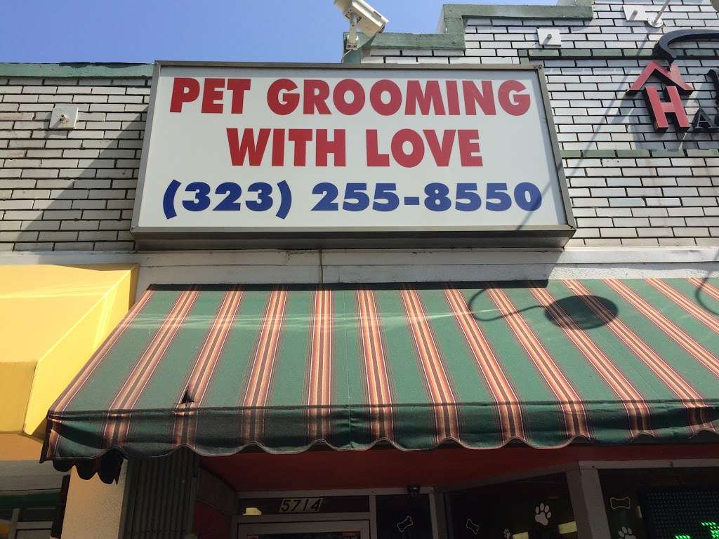 Pet Grooming With Love | 5714 N Figueroa St, Los Angeles, CA 90042, USA | Phone: (323) 255-8550