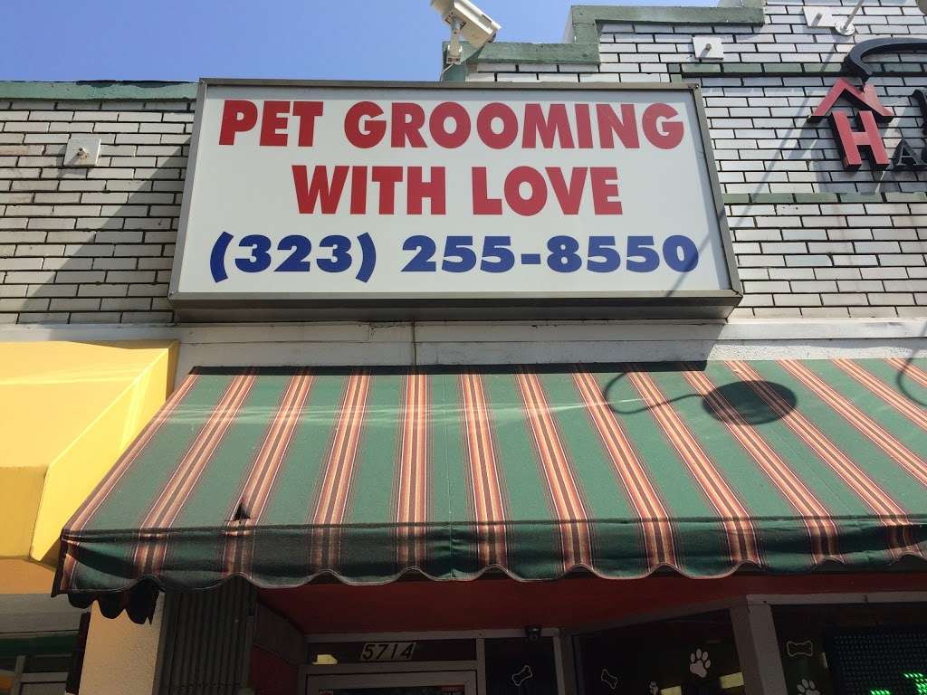 Pet Grooming With Love | 5714 N Figueroa St, Los Angeles, CA 90042 | Phone: (323) 255-8550