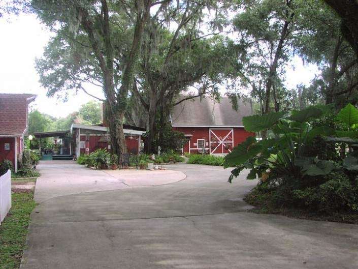 Oak-K Farm | 1349 Cherry Ln, Lakeland, FL 33811, USA | Phone: (863) 582-1813