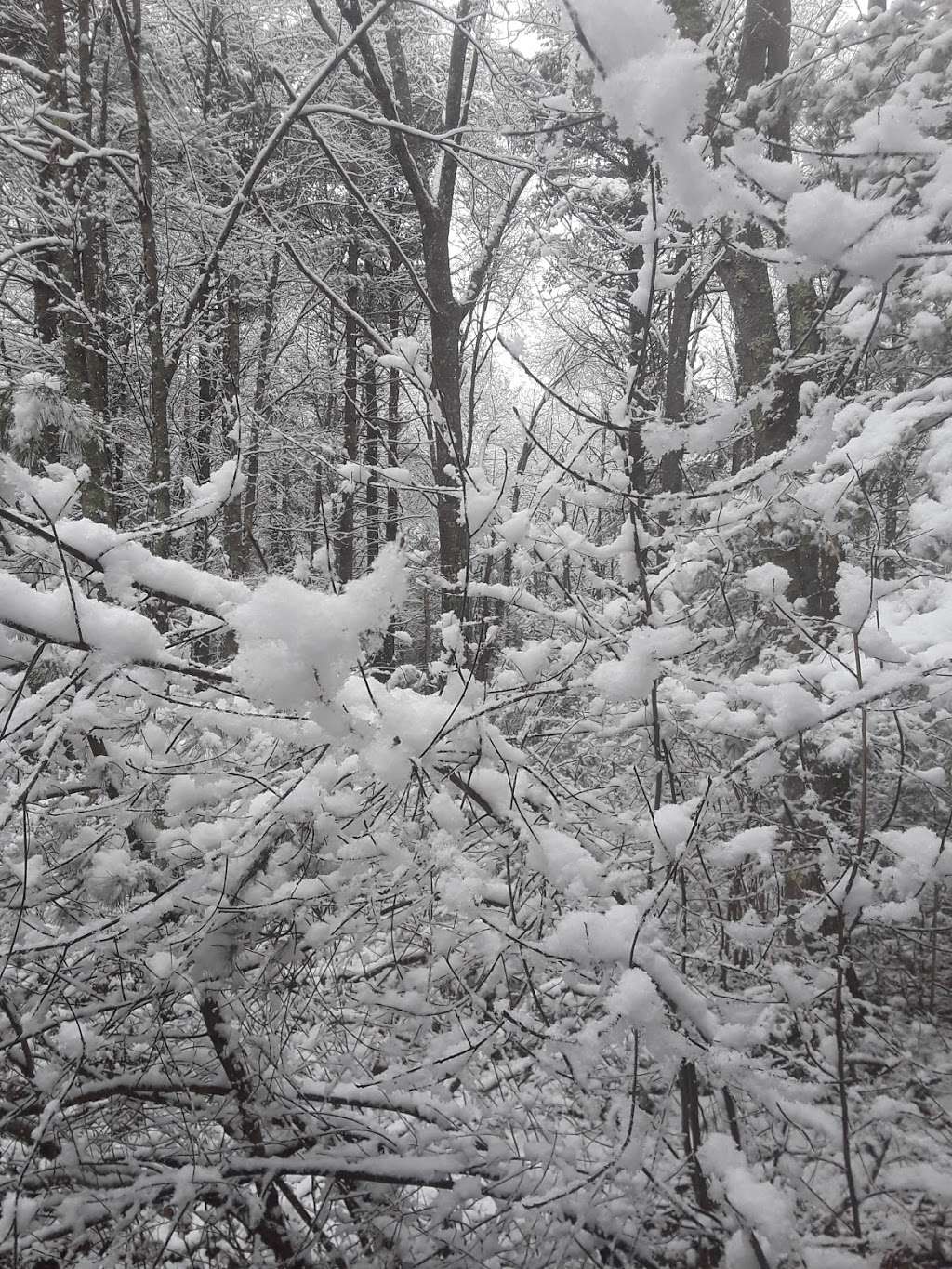 South Shore Natural Science Center | 48 Jacobs Ln, Norwell, MA 02061, USA | Phone: (781) 659-2559