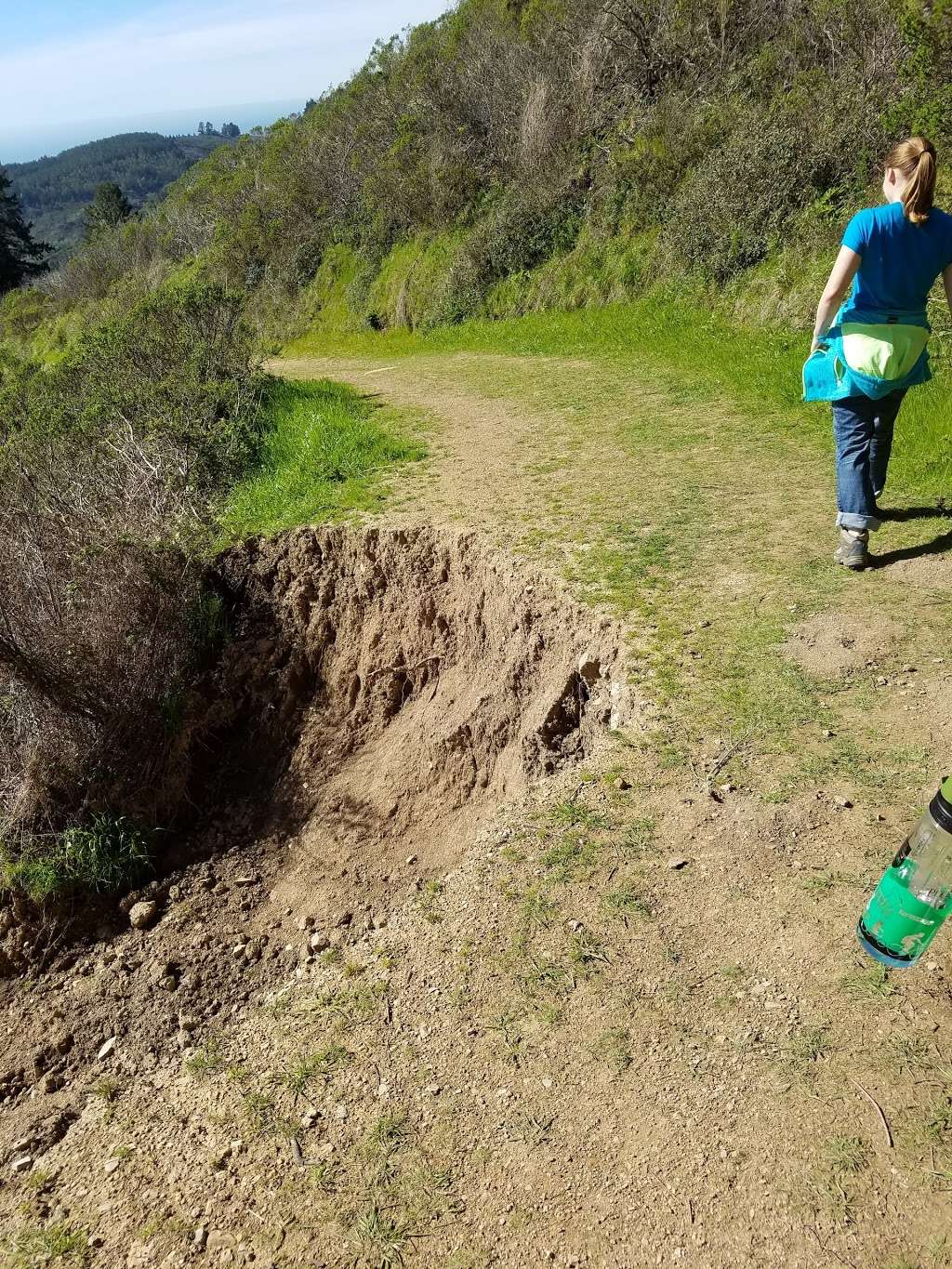 North Ridge Trail, Purisima Creek Redwoods Open Space Preserve | 13130 Skyline Blvd, Redwood City, CA 94062, USA | Phone: (650) 691-1200