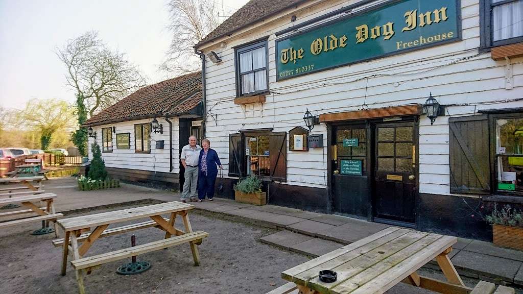 The Olde Dog Inn | Billericay Road, Herongate Tye, Ingrave, Brentwood CM13 3SD, UK | Phone: 01277 810337