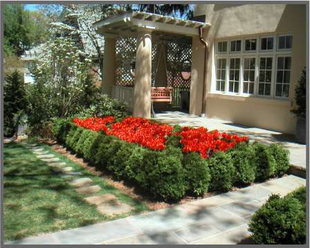 Fine Gardens | 31 Splitrock Rd, Norwalk, CT 06854, USA | Phone: (917) 209-4523