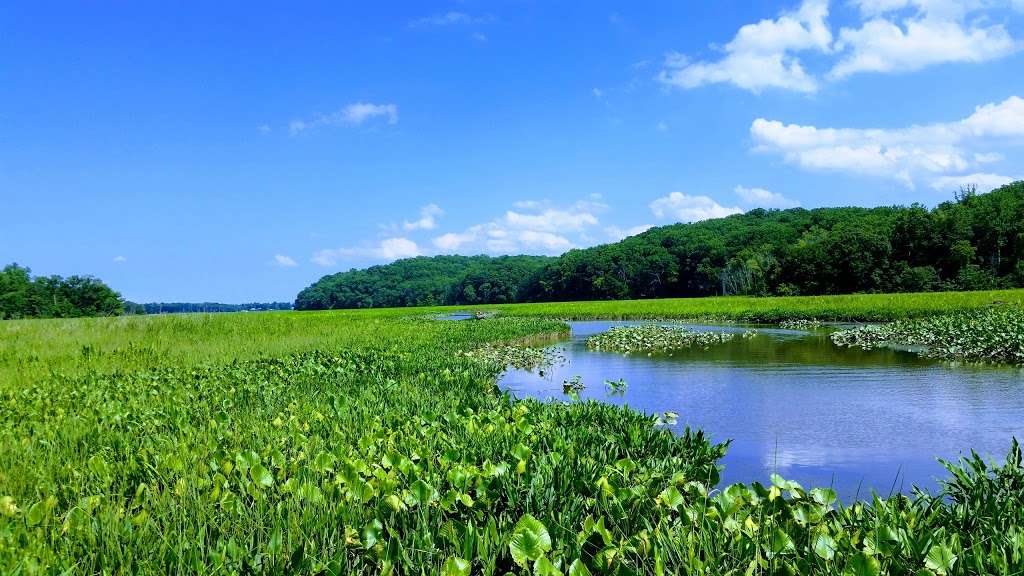 Crows Nest Natural Area Preserve | 81, Raven Rd, Stafford, VA 22554, USA | Phone: (804) 786-7951