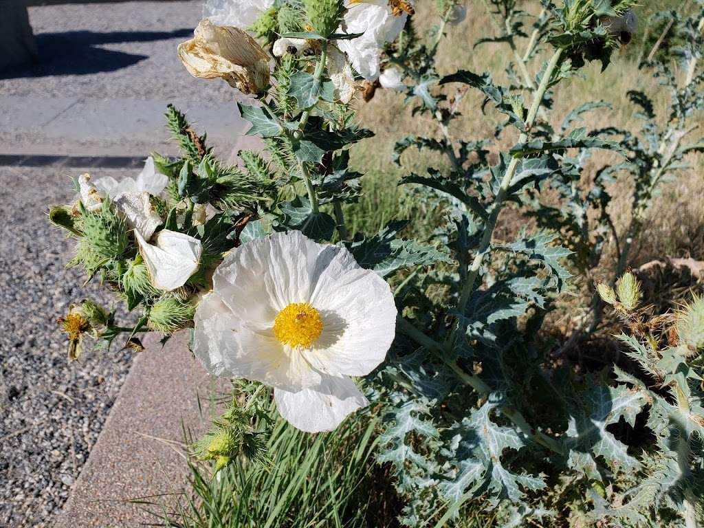 Babi Yar Memorial Park | 10451 E Yale Ave, Denver, CO 80231, USA | Phone: (303) 394-9993