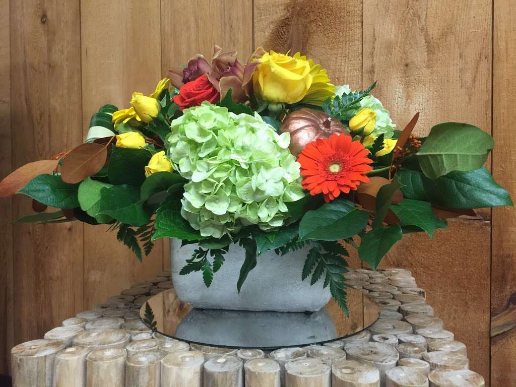 Petries Flower & Plant Shoppe | 409 Lynn Fells Pkwy, Saugus, MA 01906, USA | Phone: (781) 233-5642