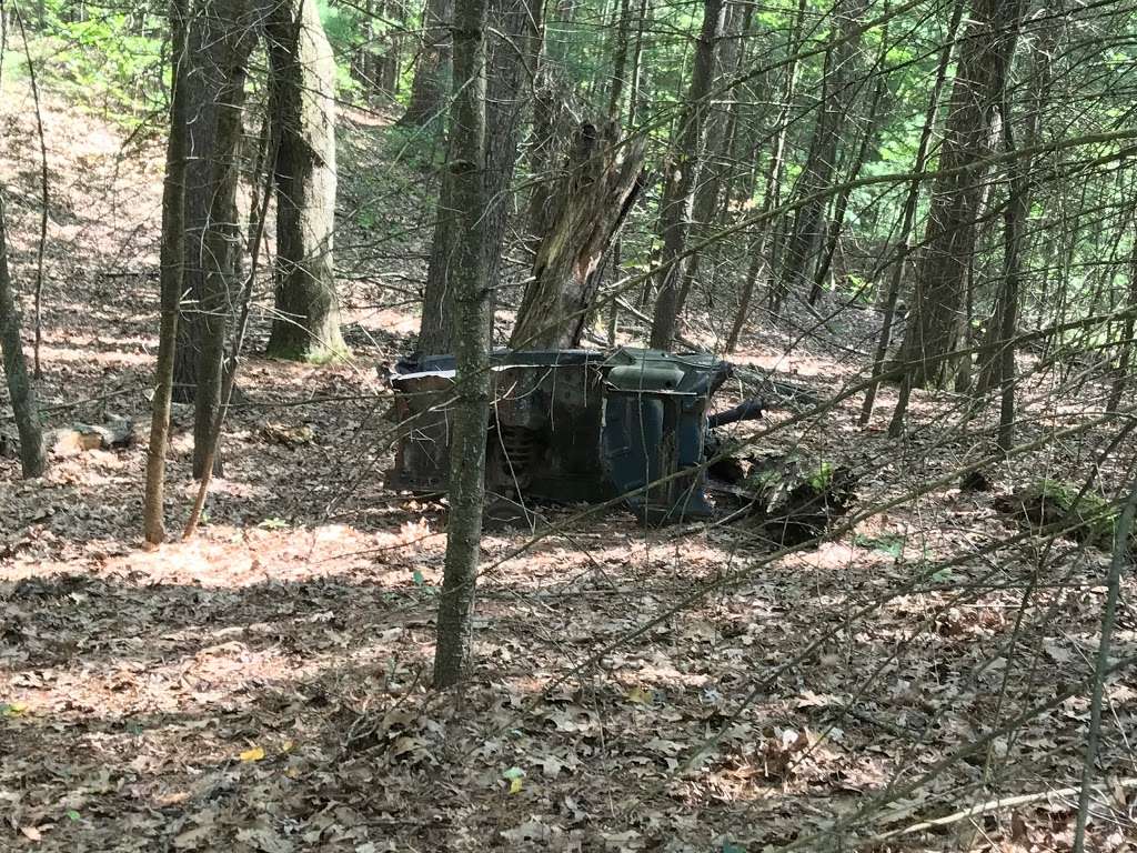 Hazels Beaver Point Picnic Table | Northborough, MA 01532, USA