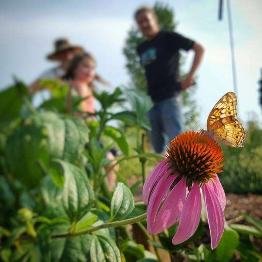 Deeper Down Community Garden | 149 Howards Creek Mill Rd, Lincolnton, NC 28092, USA