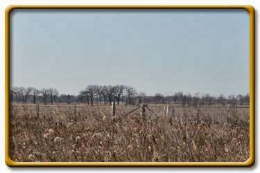 Pheasant Haven Hunting | 7700 Stewart Rd, Hebron, IL 60034, USA | Phone: (847) 417-0113