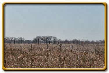 Pheasant Haven Hunting | 7700 Stewart Rd, Hebron, IL 60034 | Phone: (847) 417-0113