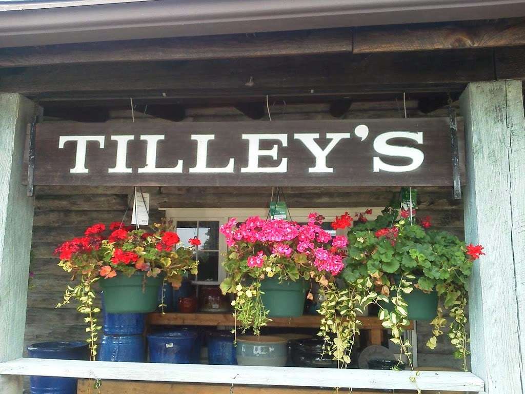 Tilleys Nursery | 111 E Fairmount St, Coopersburg, PA 18036, USA | Phone: (610) 282-4784