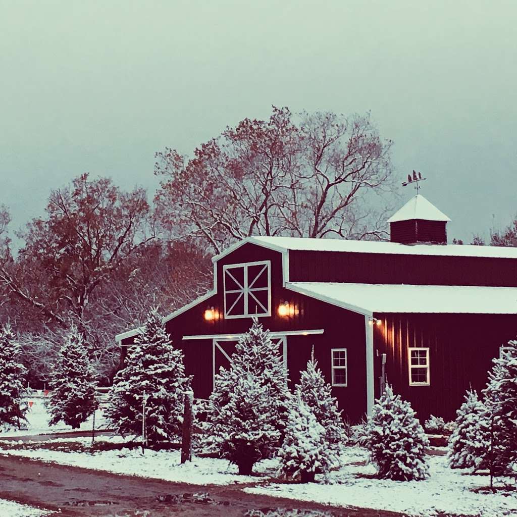Holiday Acres Christmas Tree Farm 8919 Mustang Bayou Rd Manvel Tx 77578 Usa