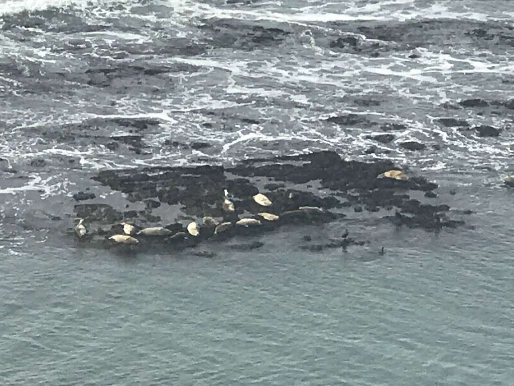 Pillar Point Bluff Parking Lot | Airport St, Moss Beach, CA 94038