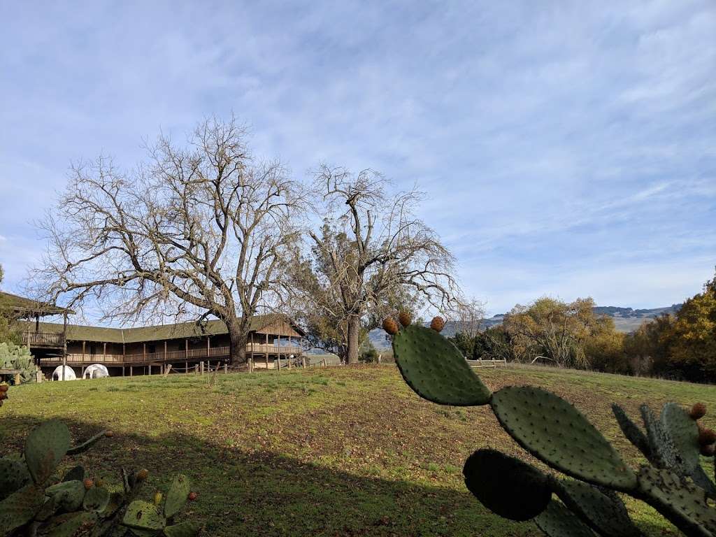 Petaluma Adobe State Historic Park | 3325 Adobe Rd, Petaluma, CA 94954, USA | Phone: (707) 762-4871