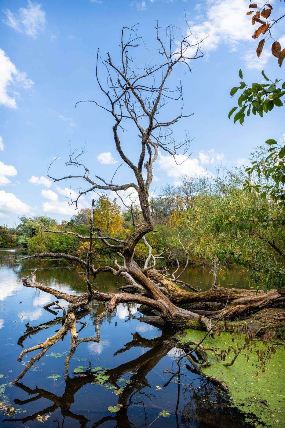 Mallard Lake | 6401-6499 Nature Center Dr, Franklin, WI 53132, USA