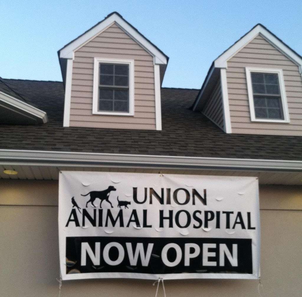 Union Animal Hospital | 1067 Commerce Ave, Union, NJ 07083, USA | Phone: (908) 378-5188