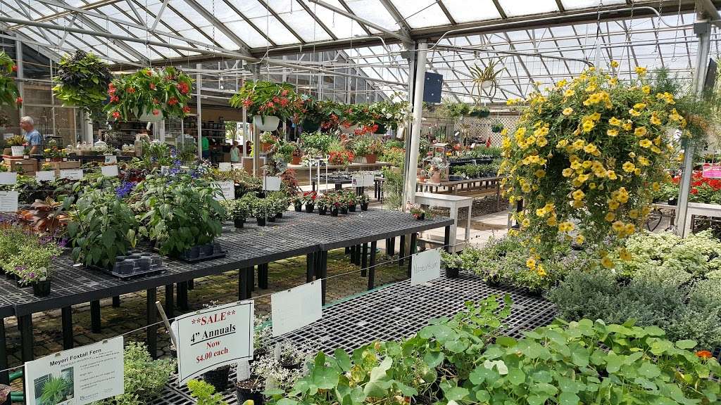 Bennetts Greenhouse | 3651 McCarty Ln, Lafayette, IN 47905, USA | Phone: (765) 447-7636