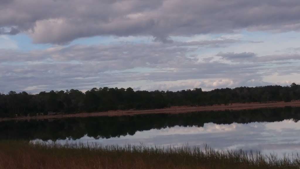 Lake Mary (recgovnpsdata) | Ocklawaha, FL 32179 | Phone: (863) 484-0316