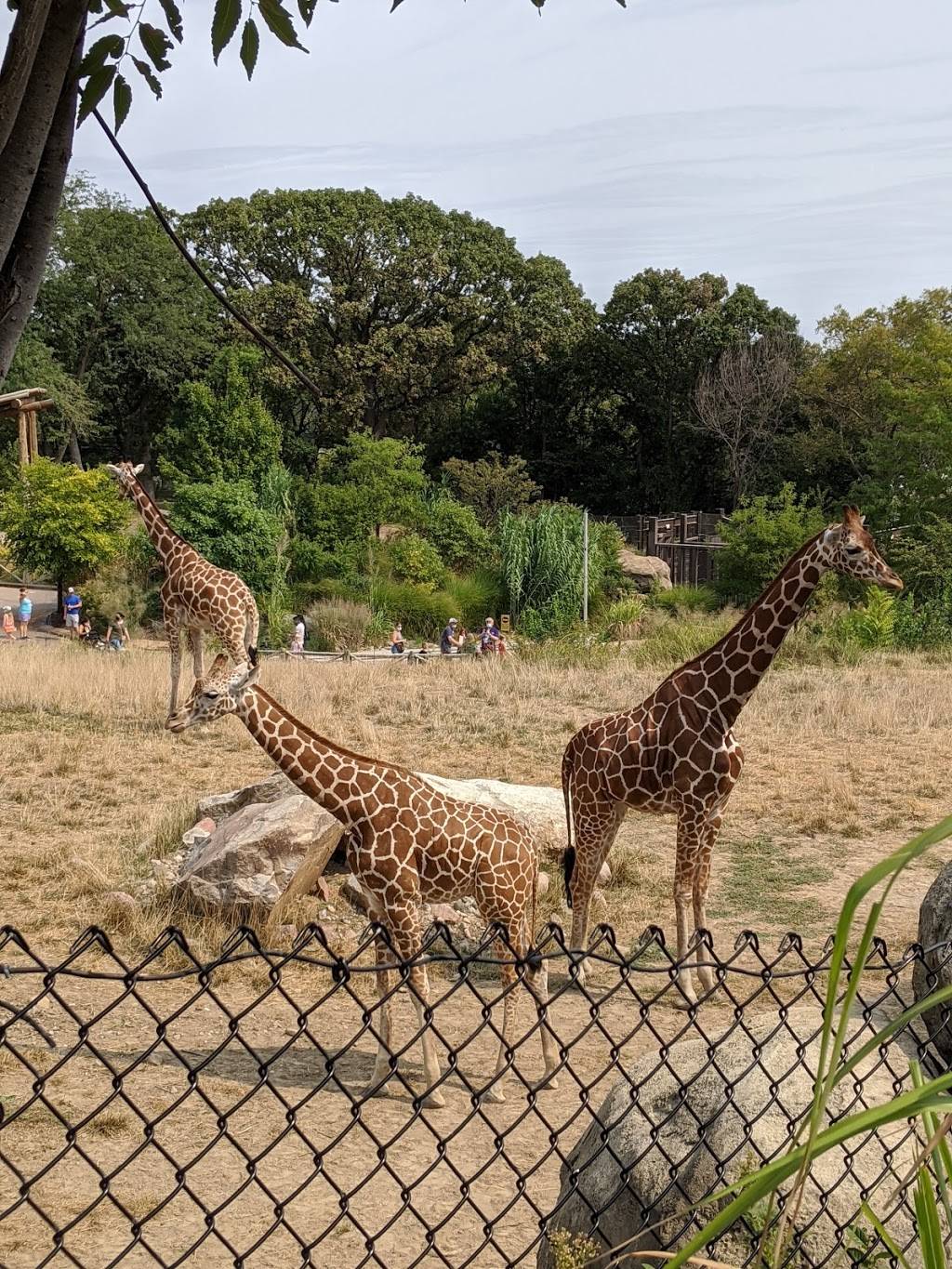 Omahas Henry Doorly Zoo and Aquarium | 3701 S 10th St, Omaha, NE 68107, USA | Phone: (402) 733-8400