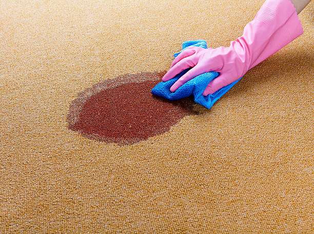 Long Beach Carpets Care | 53 Delaware Ave, Long Beach, NY 11561 | Phone: (516) 686-9743