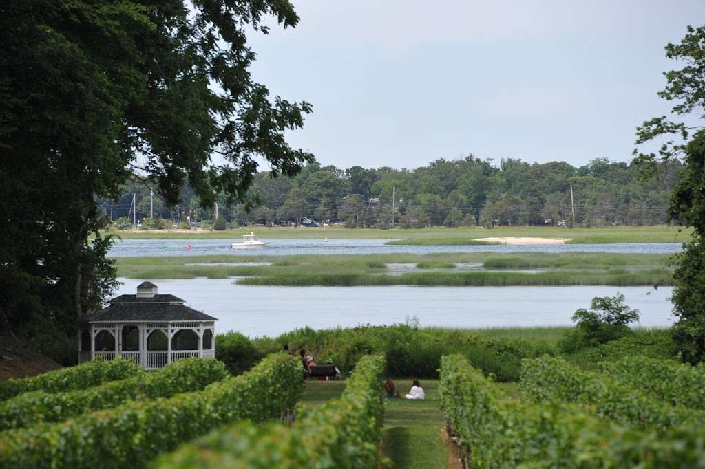 Harmony Vineyards | 169 Harbor Rd, St James, NY 11780, USA | Phone: (631) 291-9900