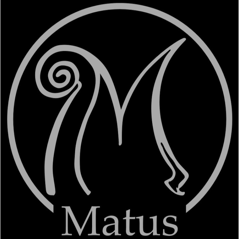 Matus Violin Atelier | 10908 Bond Rd, Adelphi, MD 20783 | Phone: (240) 626-6699