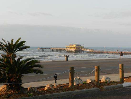 Beachfront Palms Hotel | 5914 Seawall Blvd, Galveston, TX 77551, USA | Phone: (409) 740-1261