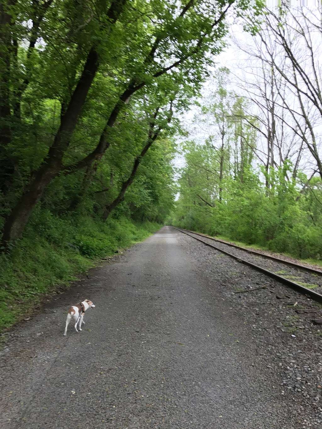 Heritage Rail Trail Parking (Brillhart Station) | Brillhart Station, York, PA 17404, USA