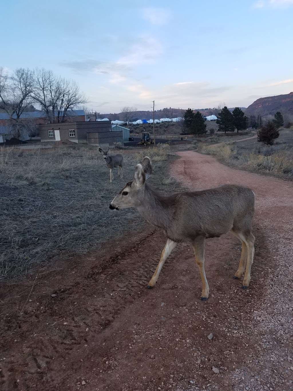 Blue Sky Trailhead Parking | 4780 W County Rd 38 E, Fort Collins, CO 80526, USA