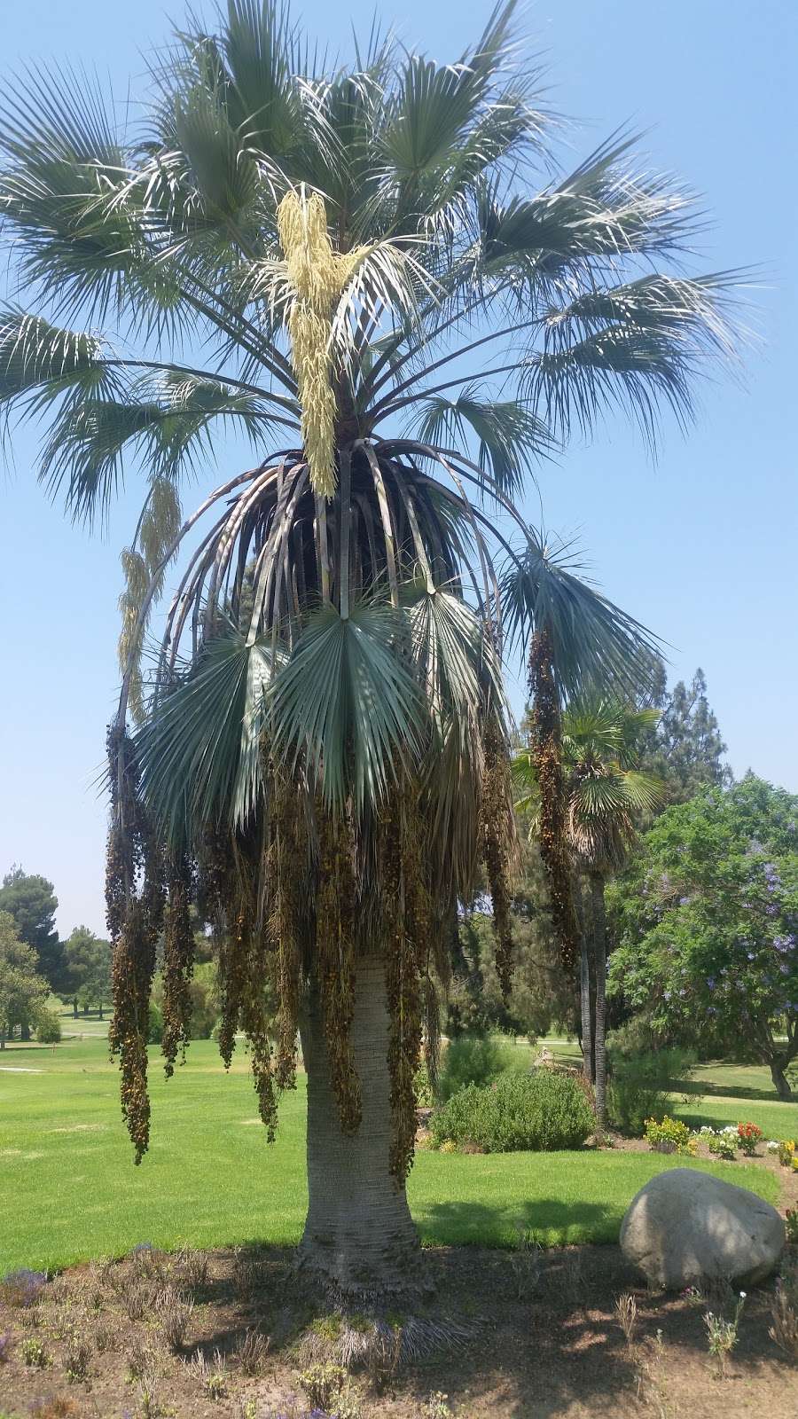 Hansen Dam Golf Course | 10400 Glenoaks Blvd, Pacoima, CA 91331 | Phone: (818) 899-2200