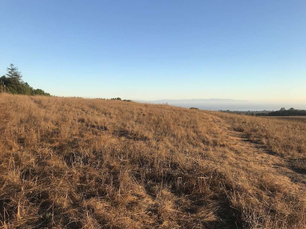 Great Meadow | Santa Cruz, CA 95064, USA