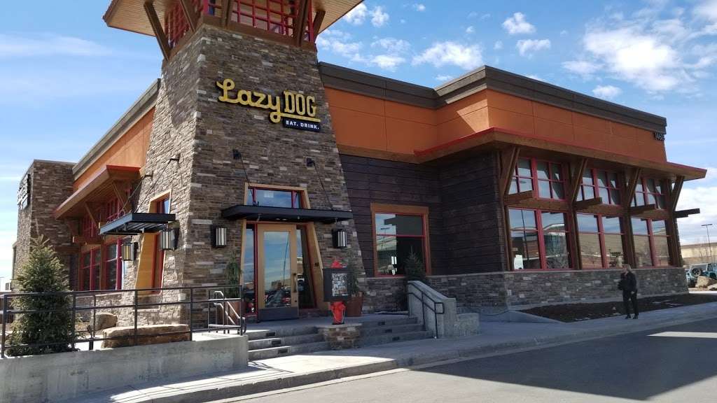 Lazy Dog Restaurant & Bar | 14618 Delaware St, Westminster, CO 80023, USA | Phone: (720) 459-5613