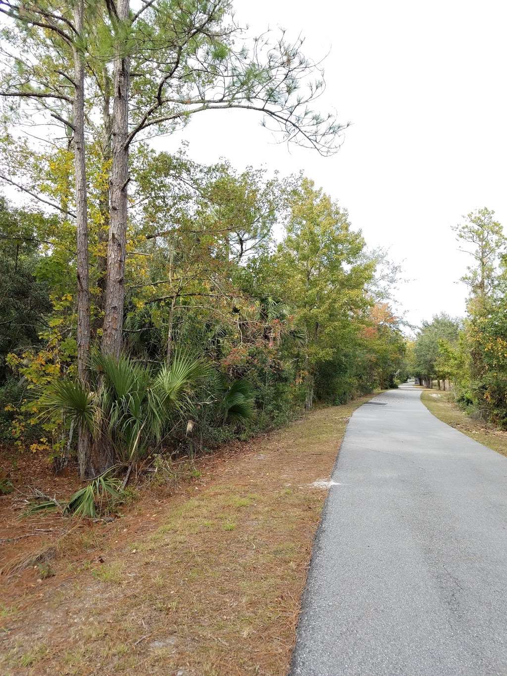 Cross Seminole Trail - Black Hammock Trailhead | 1571 E State Rd 434, Winter Springs, FL 32708 | Phone: (407) 365-1244