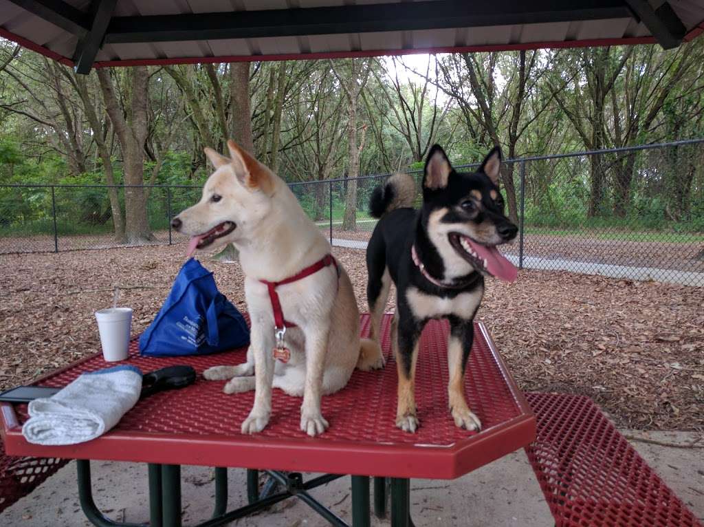 West Orange Dog Park | 12400 Marshall Farms Rd, Winter Garden, FL 34787, USA | Phone: (407) 656-3299