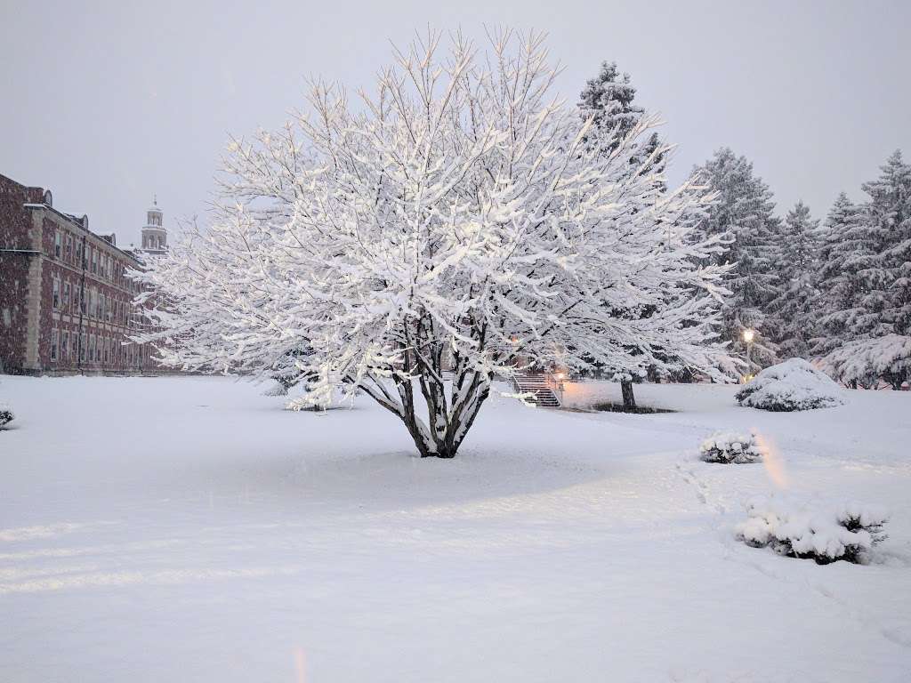 USML: University of Saint Mary of the Lake / Mundelein Seminary | 1000 E Maple Ave, Mundelein, IL 60060, USA | Phone: (847) 566-6401