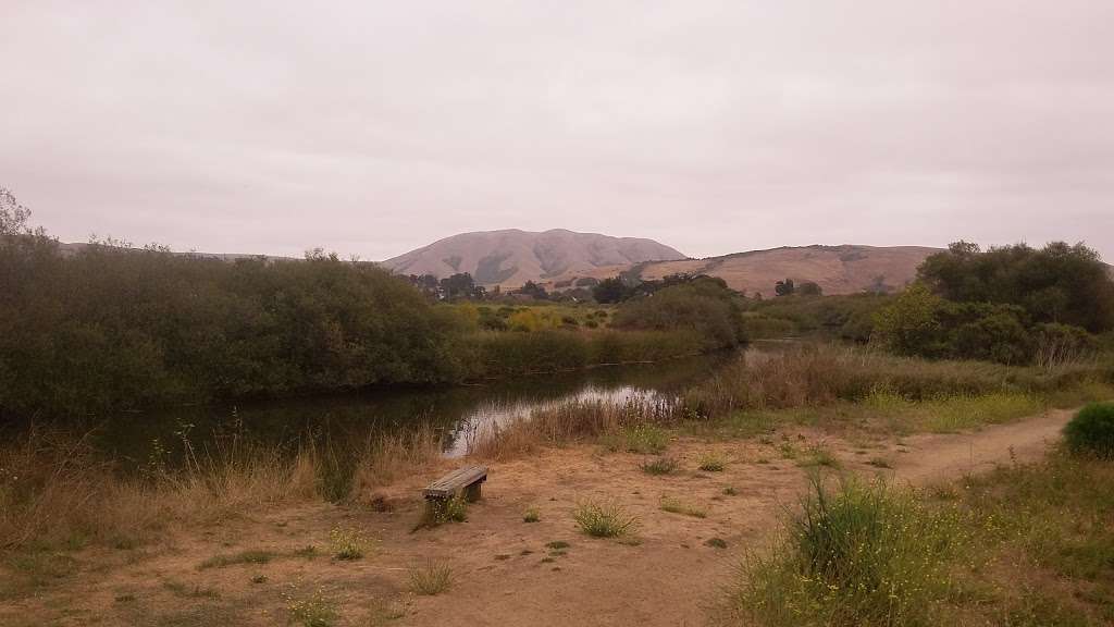 White House Pool Park | Sir Francis Drake Blvd, Point Reyes Station, CA 94956, USA | Phone: (415) 473-6387