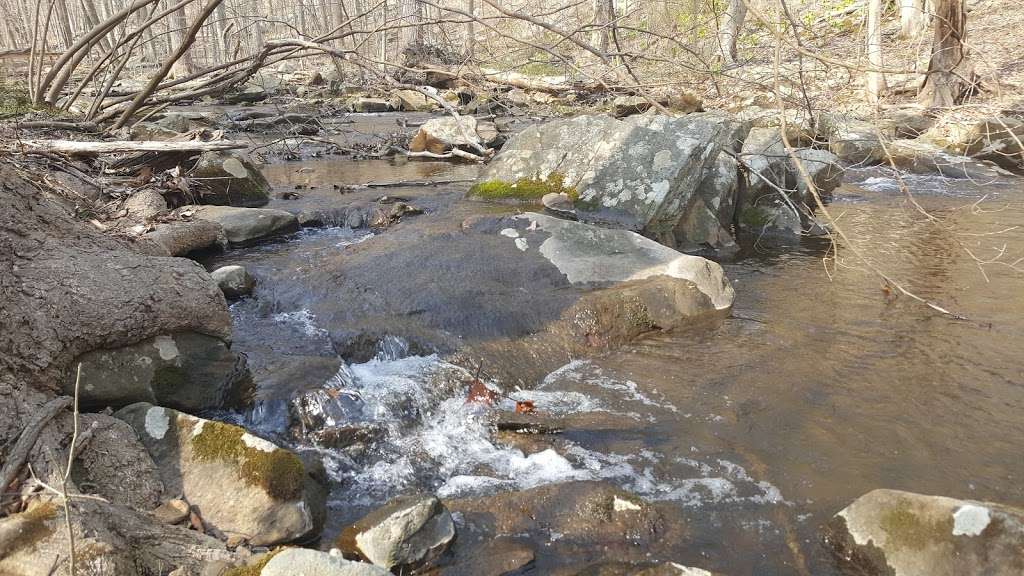 Dismal Harmony Natural Area | Morristown, NJ 07960, USA