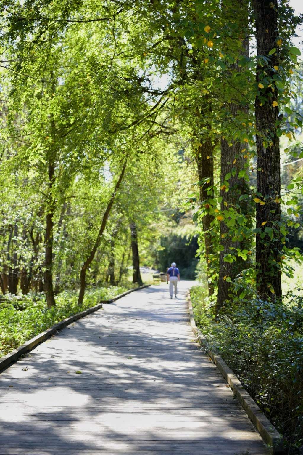 Four Mile Creek Greenway | 5803 Bevington Pl, Charlotte, NC 28277, USA | Phone: (704) 336-3854