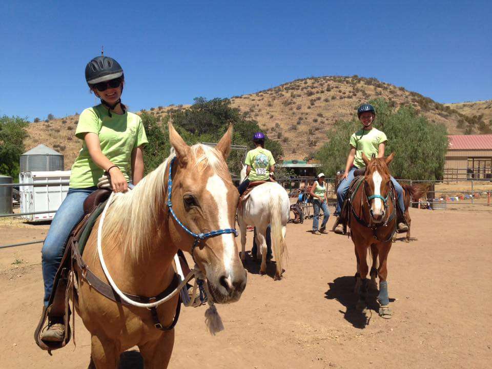 Copper Horse Riding Ranch | 12435 Doebay Dr, Agua Dulce, CA 91390, USA | Phone: (661) 251-8768