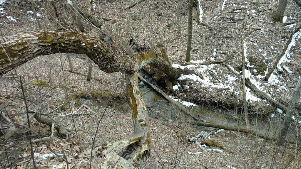 Bender Park Hiking Trail | Unnamed Road, Oak Creek, WI 53154, USA