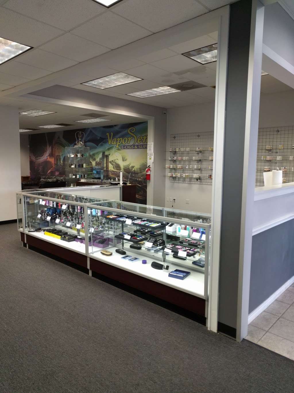 Vapor Sense | 10900 Gulf Fwy, Houston, TX 77034, USA | Phone: (832) 649-5774