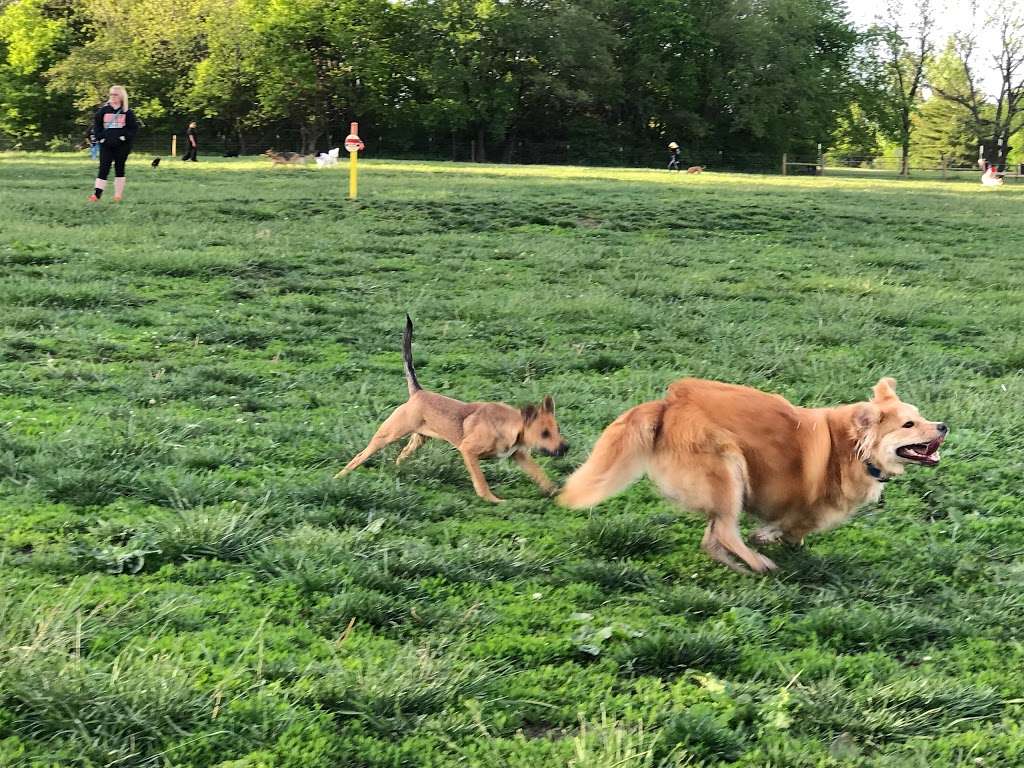 Stoll Off-Leash Dog Park | 12500 W 119th St, Overland Park, KS 66210, USA | Phone: (913) 782-0720