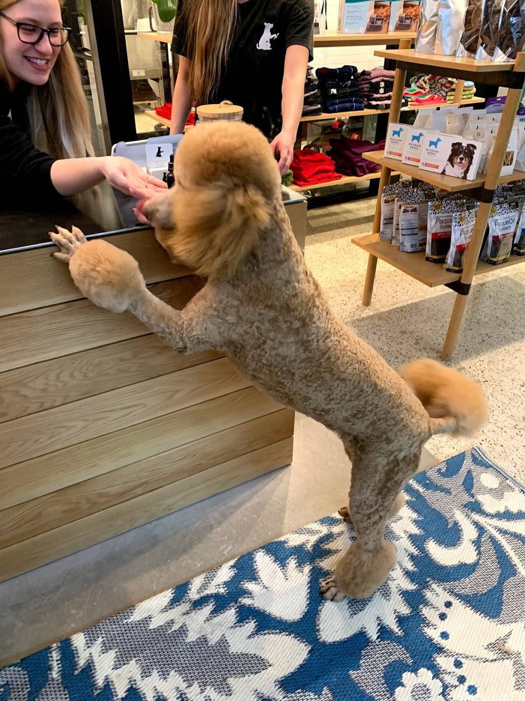 Barkin Creek Dog Kitchen & Bath - Zilker | 1218 Barton Hills Dr, Austin, TX 78704, USA | Phone: (512) 592-3100