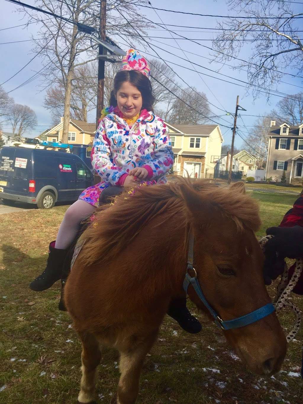 Ponies For Parties | 301 Hawkin Rd, Jackson, NJ 08527, USA | Phone: (732) 492-0092